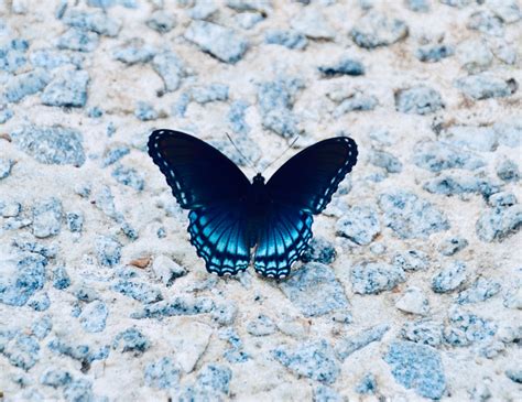 Il cielo è sempre più blu: una commedia romantica che esplora i segreti della vita!